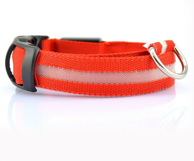 LED Safety Dog Collar — Glows in the Dark for Safe Night Walks