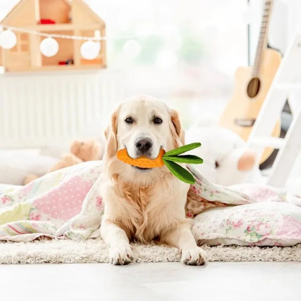 Carrot Dog Chew Toy — Durable Rubber Squeaky Toy for Aggressive Chewers