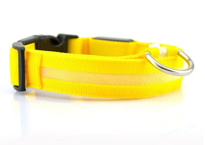 LED Safety Dog Collar — Glows in the Dark for Safe Night Walks