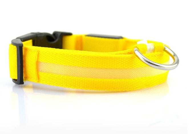 LED Safety Dog Collar — Glows in the Dark for Safe Night Walks