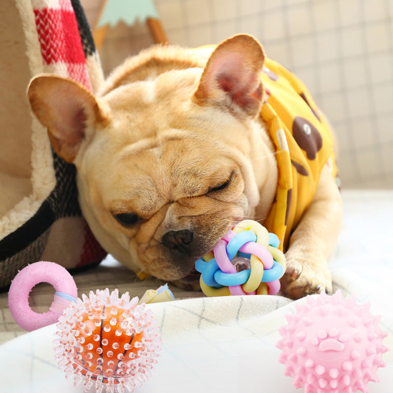 Puppy Training Chew Toy — Non-Toxic Rubber Bite-Resistant Dog Toy