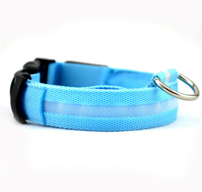 LED Safety Dog Collar — Glows in the Dark for Safe Night Walks