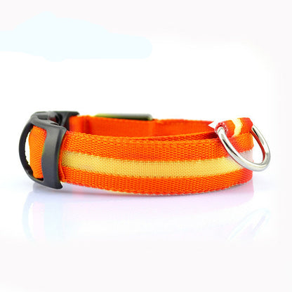 LED Safety Dog Collar — Glows in the Dark for Safe Night Walks
