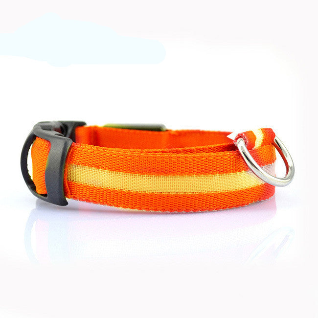 LED Safety Dog Collar — Glows in the Dark for Safe Night Walks