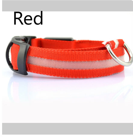 LED Safety Dog Collar — Glows in the Dark for Safe Night Walks