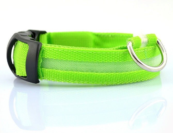 LED Safety Dog Collar — Glows in the Dark for Safe Night Walks