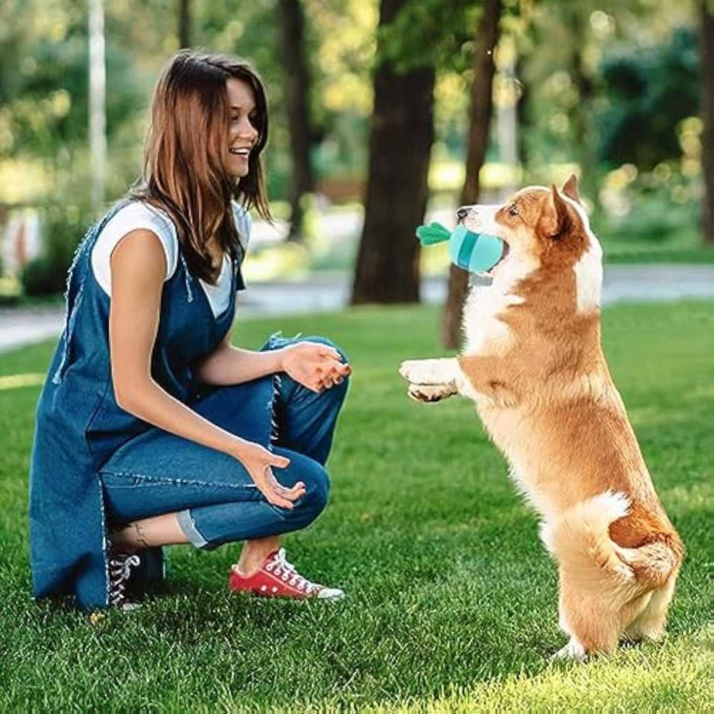 Interactive Treat Dispensing Dog Toy — Slow Feeder Puzzle Ball
