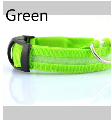 LED Safety Dog Collar — Glows in the Dark for Safe Night Walks