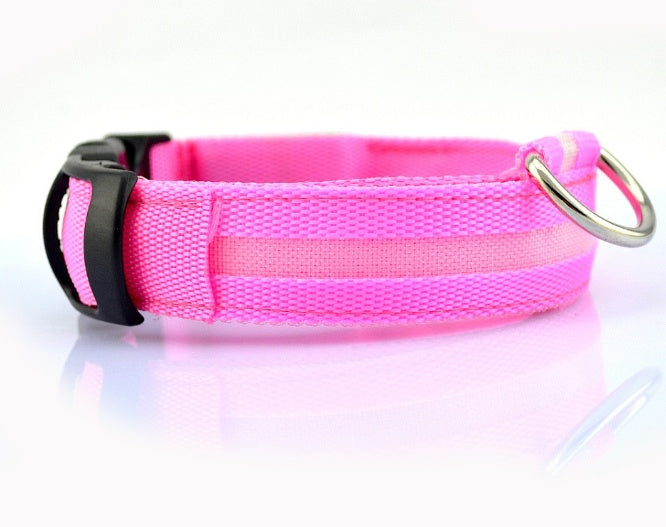 LED Safety Dog Collar — Glows in the Dark for Safe Night Walks