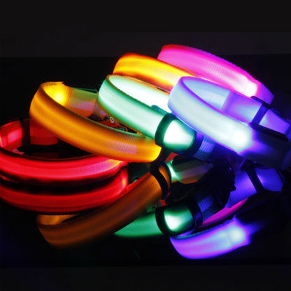LED Safety Dog Collar — Glows in the Dark for Safe Night Walks