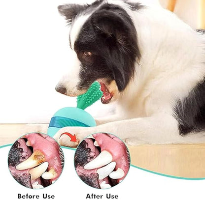 Interactive Treat Dispensing Dog Toy — Slow Feeder Puzzle Ball
