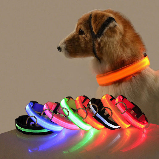 LED Safety Dog Collar — Glows in the Dark for Safe Night Walks
