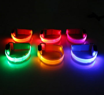 LED Safety Dog Collar — Glows in the Dark for Safe Night Walks