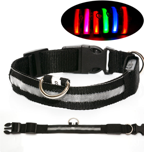 LED Safety Dog Collar — Glows in the Dark for Safe Night Walks