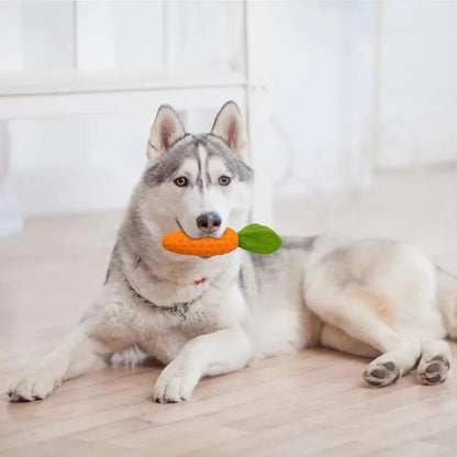 Carrot Dog Chew Toy — Durable Rubber Squeaky Toy for Aggressive Chewers