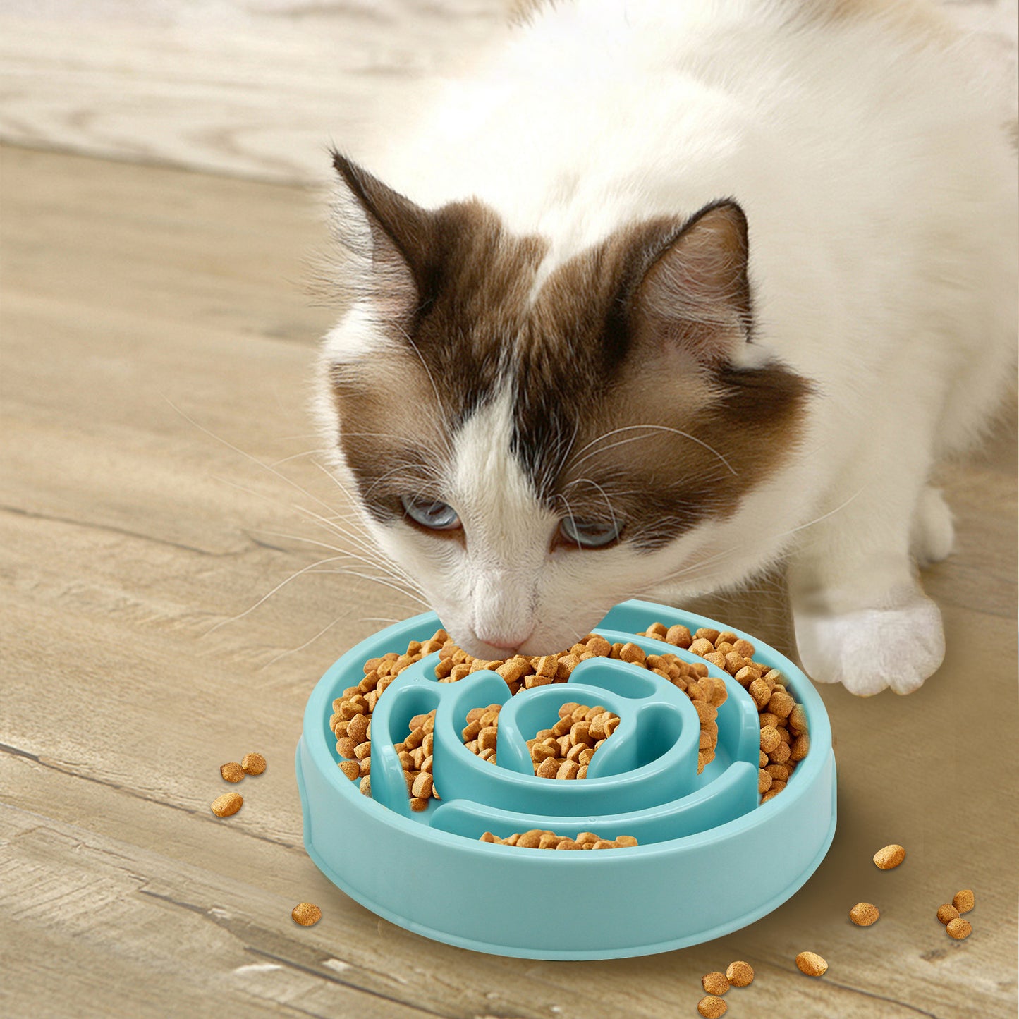 Slow Feeder Dog Bowl — Anti-Gulp Puzzle Bowl for Healthy Eating